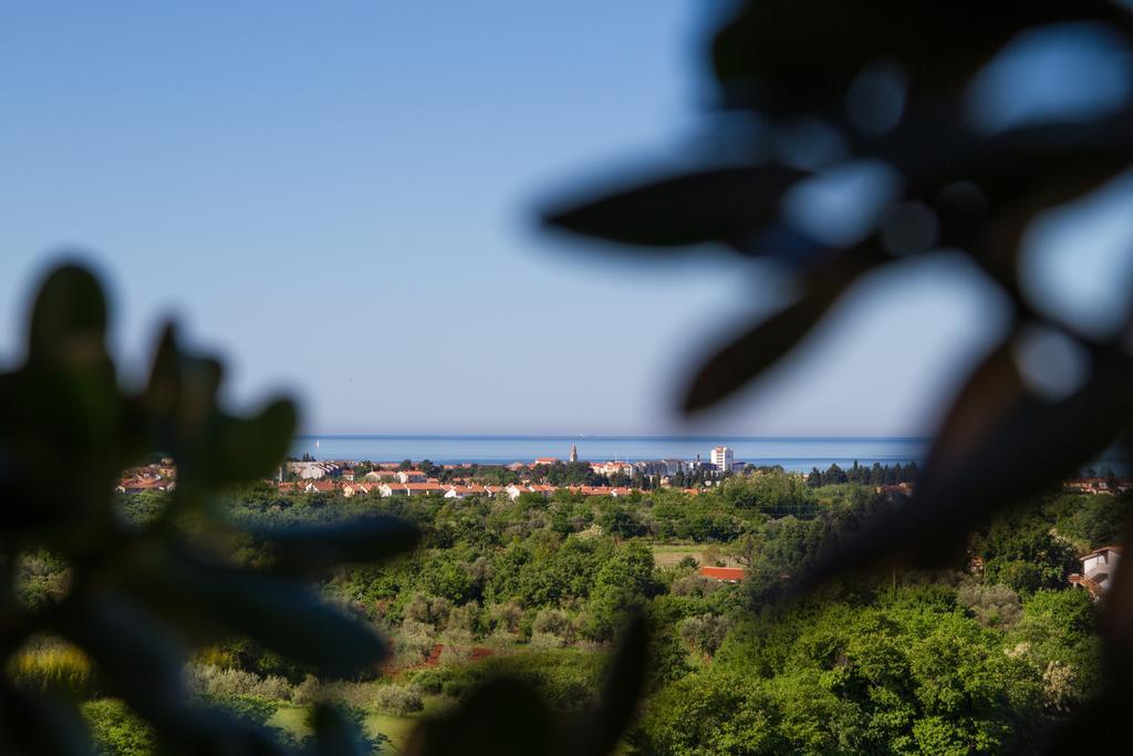 Hotel Arte Casa Murine Chambre photo